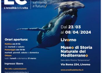 “L’eredità della vita”: mostra sui cambiamenti climatici a Livorno
