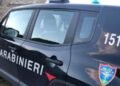 Carabinieri forestali