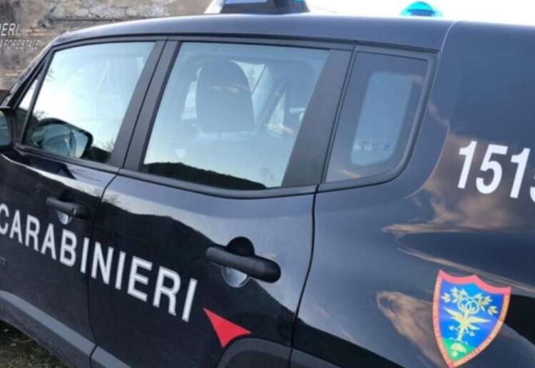 Carabinieri forestali