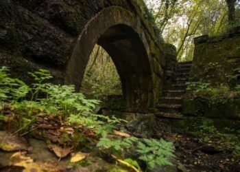 Acquedotto di Colognole