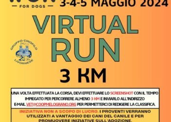 Virtual Runfordogs