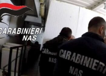 Arrestato proprietario di un emporio