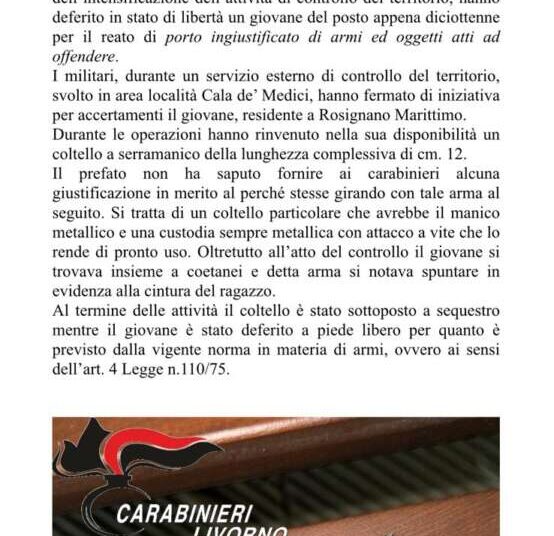 Coltello a serramanico