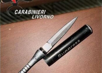 Coltello a serramanico