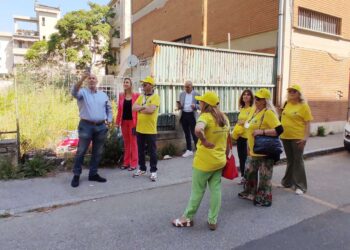 Alternativa Popolare