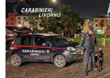 Nell’operazione Mexal di questa mattina arrestato anche un imprenditore