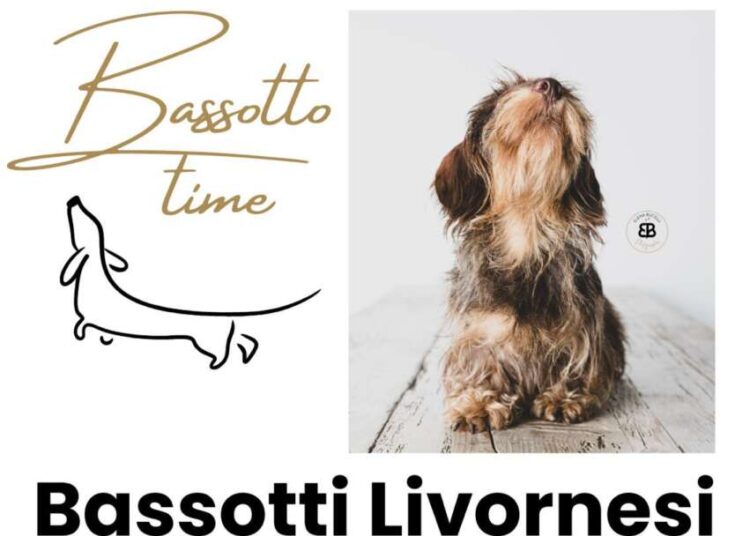 Bassotti Livornesi