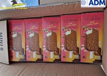 La guardia di finanza ha sequestrato oltre 2 tonnellate di gelati non conformi alla normativa sanitaria