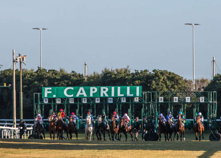 Ippica, al Caprilli inizia la stagione autunno-invernale