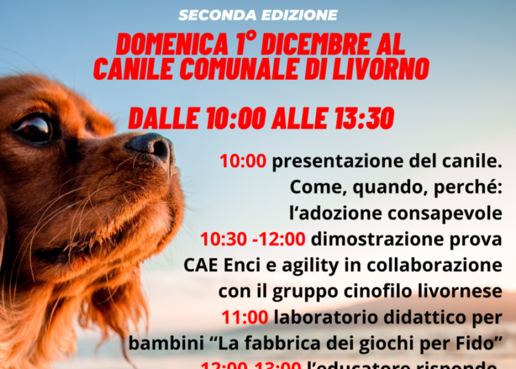 Open day canile