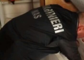 Alimenti non tracciati