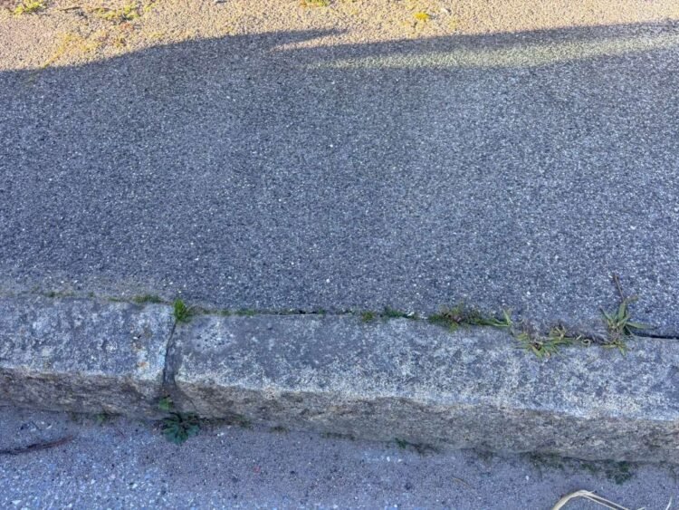 Urban Livorno - immagine 8