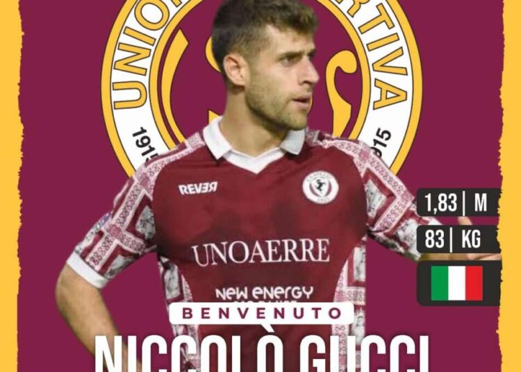 Niccolò Gucci è un giocatore del Livorno