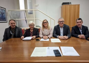 Dillo al consigliere