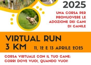 Run for dogs