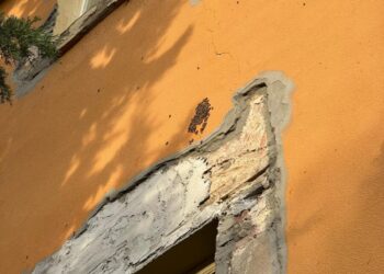 Nugolo d’api alle ‘De Amicis’, genitori degli alunni: “E’ pericoloso, deve essere rimosso”