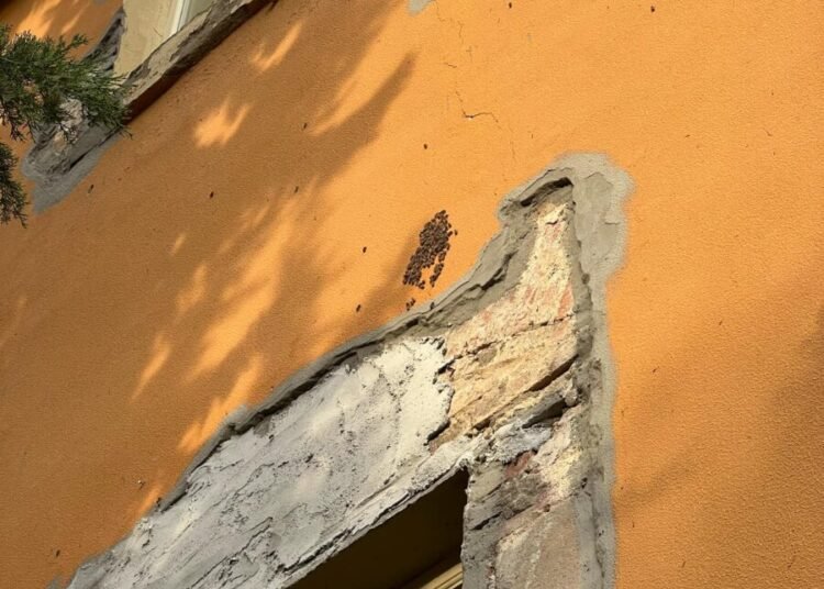 Nugolo d’api alle ‘De Amicis’, genitori degli alunni: “E’ pericoloso, deve essere rimosso”