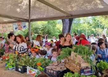 Mercato dell’orto in condotta