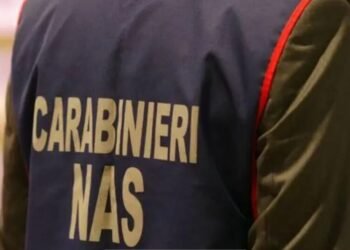 carabinieri del nas