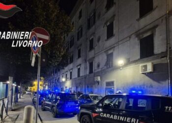 controlli dei carabinieri