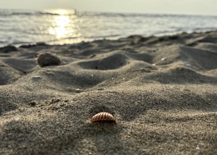 Divieto di balneazione
