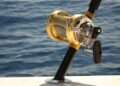 Pesca sportiva