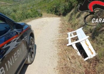 rifiuti abbandonati