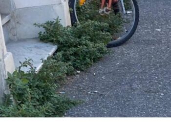 ACI Livorno: “Servono interventi concreti e continui per restituire decoro e vivibilità alla città”