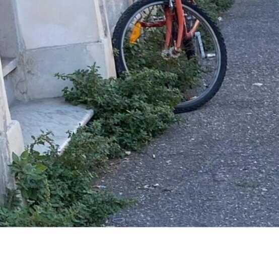 ACI Livorno: “Servono interventi concreti e continui per restituire decoro e vivibilità alla città”