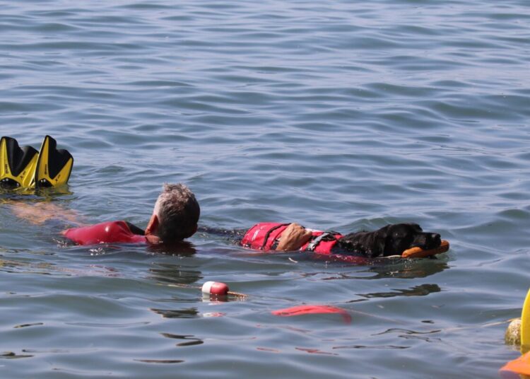 Dimostrazione ai Tre Ponti