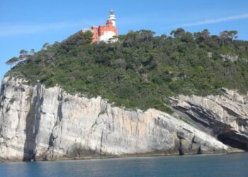 Faro al Tino