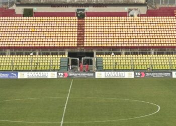 Stadio Armando Picchi