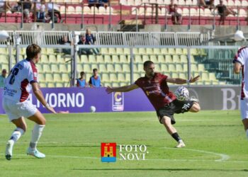 Livorno, pari stetto con il Campobasso (0-0)