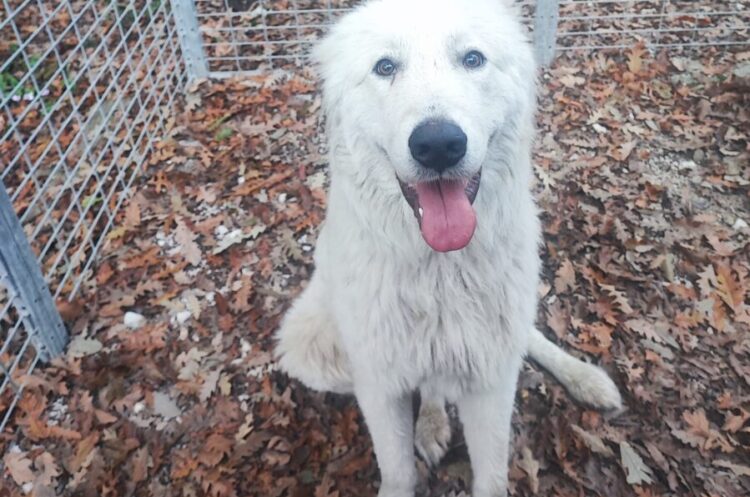 Urban Livorno - immagine 3