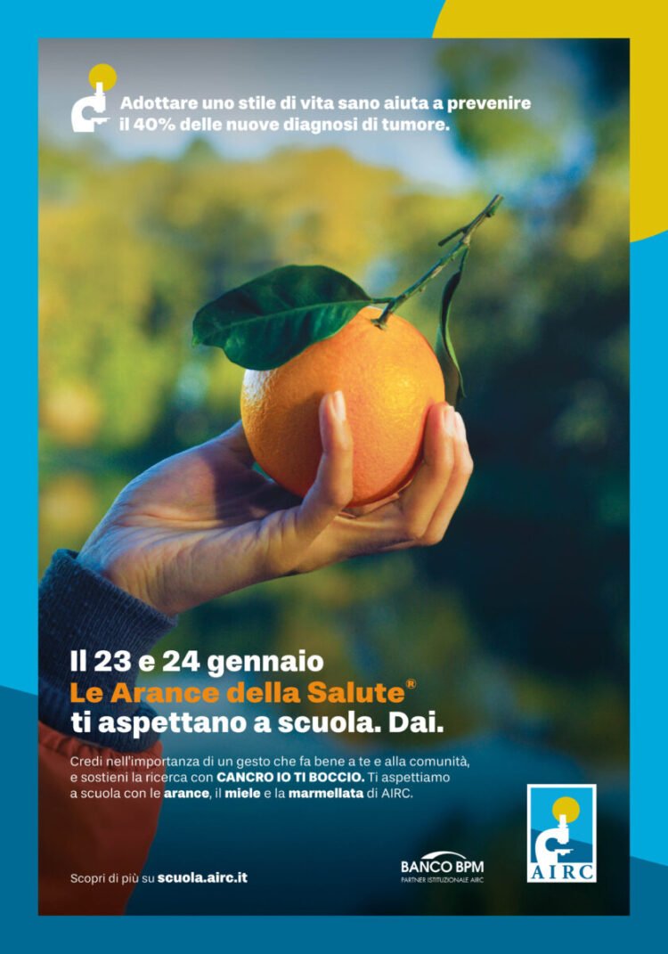 Urban Livorno - immagine 10