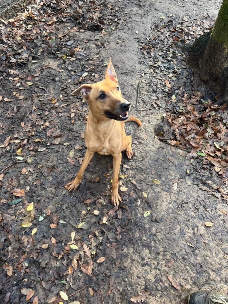 Urban Livorno - immagine 2