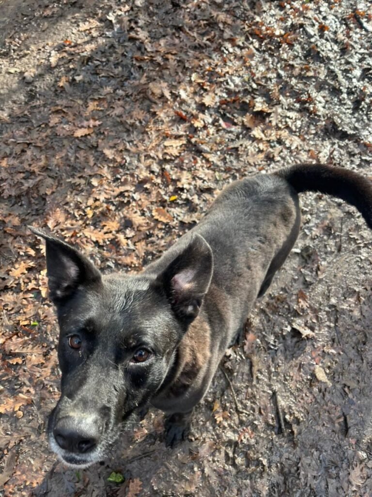 Urban Livorno - immagine 1