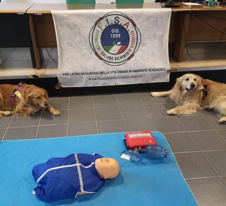 Urban Livorno - immagine 6