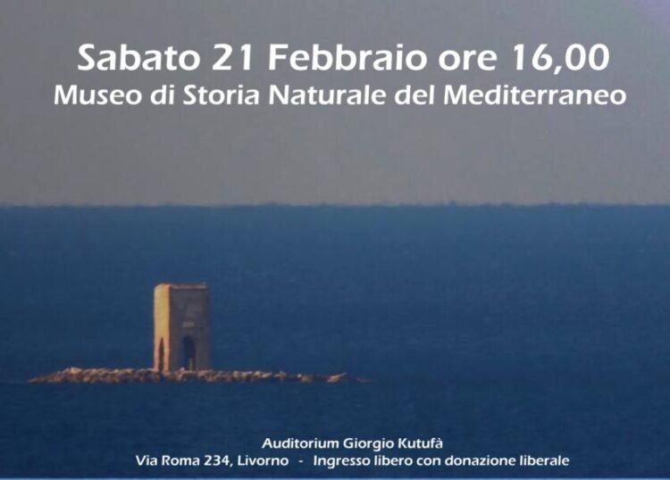 Urban Livorno - immagine 3