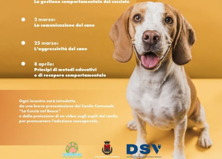 incontri in villa fabbricotti