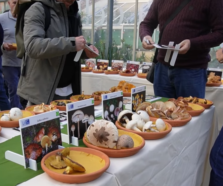 Urban Livorno - immagine 6