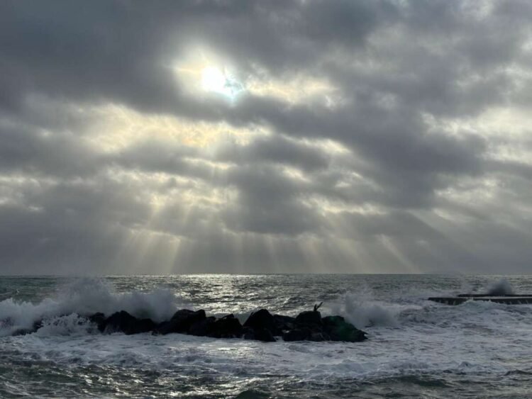 Urban Livorno - immagine 4