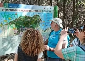 fabbrica della salute
