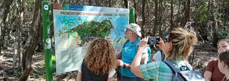 Urban Livorno - immagine 9