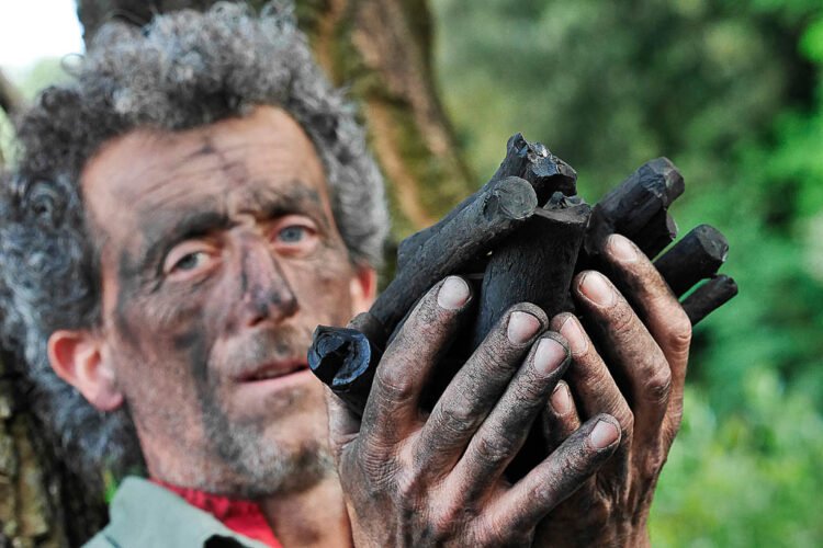 Urban Livorno - immagine 2