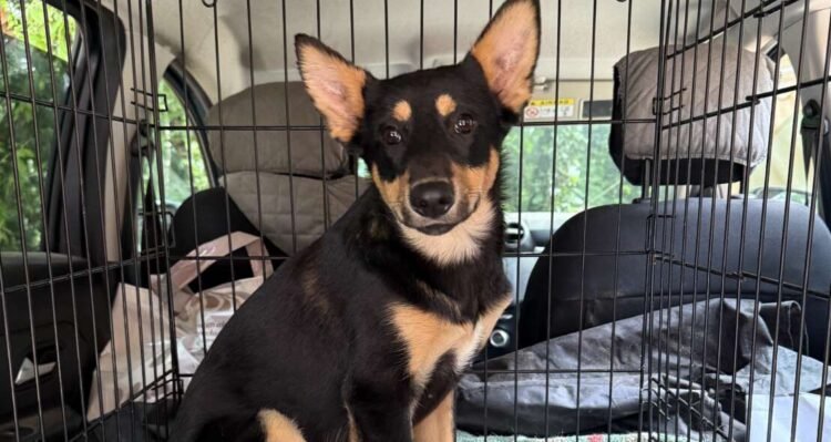 Urban Livorno - immagine 2