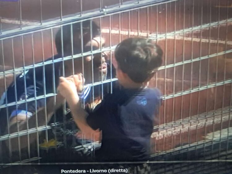 Urban Livorno - immagine 2