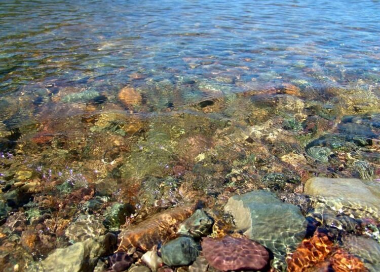 Mare