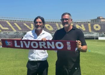 Lucarelli