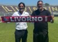 Lucarelli